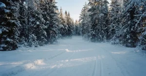Biathlon-Wetten 2026 – Anbieter, Wettarten und Rechtslage im Vergleich
